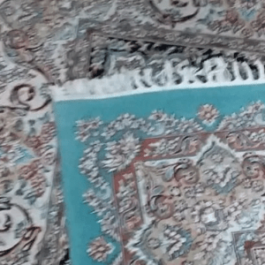 قالیشویی آپادانا در بجنورد
